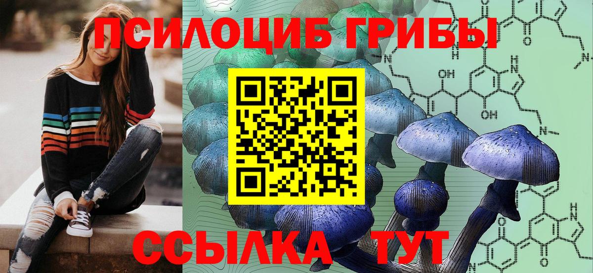 Псилоцибиновые грибы Cubensis  Вход с VPN  Берёзовский 
