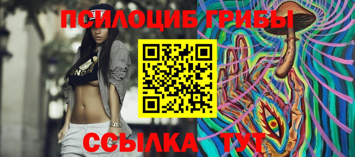 Псилоцибиновые грибы Psilocybine cubensis Берёзовский